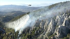 Muğla’nın Milas İlçesinde Orman Yangını Kontrol Altına Alındı