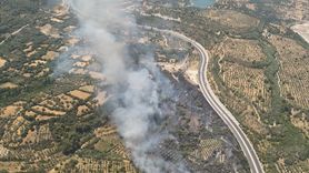 Muğla Yatağan'da Tarım Alanında Yangın Çıktı