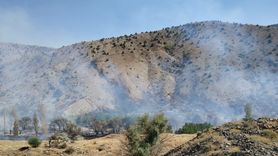 Niğde'de Ağaçlık Alanda Yangın Kontrol Altına Alındı