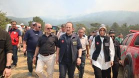 Orman Yangınları Sonrası Güvenli Alanlara Taşınma Süreci