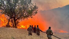 Orman Yangınlarıyla İlgili Gözaltılar Açıklandı