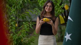 Pakistan'ın Ankara Büyükelçiliği'nde Mango Festivali Coşkusu