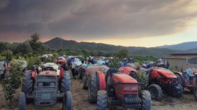 Sakarya-Bilecik Orman Yangını 3. Günde Kontrol Altına Alınıyor