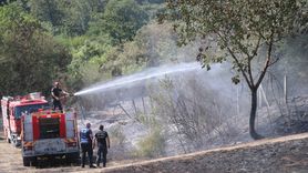 Sakarya'da Orman Yangını Kontrol Altına Alındı