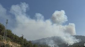 Sakarya'da Orman Yangınına Mücadele Devam Ediyor