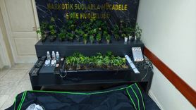 Sakarya'da Uyuşturucu Operasyonu: 5 Gözaltı