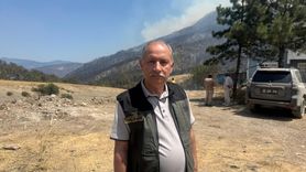 Sakarya'daki Orman Yangınında Son Durum