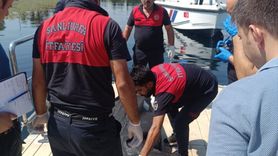 Şanlıurfa Birecik'te Fırat Nehri'nde Erkek Cesedi Bulundu