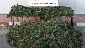 Şanlıurfa'da Büyük Uyuşturucu Operasyonu: 9 Gözaltı