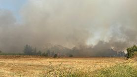 Serik'te Orman Yangınına Hızla Müdahale Ediliyor