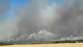 Silivri'de Orman Yangını: Müdahale Devam Ediyor