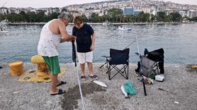 Sinop'ta Deniz Suyunda Ani Soğuma Balıkları Kıyıya Vurdu