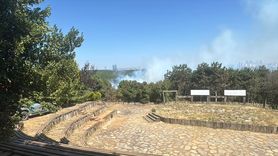 Sultangazi'de Orman Yangınına Hızla Müdahale Ediliyor