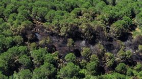 Sultangazi'de Orman Yangınına Müdahale Devam Ediyor