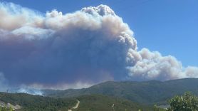 Suriye'nin Lazkiye Bölgesinde Orman Yangını