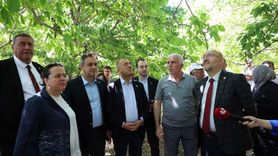 TBMM Komisyonu Denizli'de Zirai Don İncelemesi Gerçekleştirdi