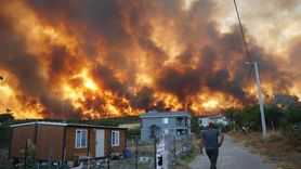 Tekirdağ'da Anız Yangını Ormana İlerledi