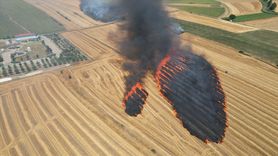 Tekirdağ'da Tarım Alanında Yangın Kontrol Altına Alındı