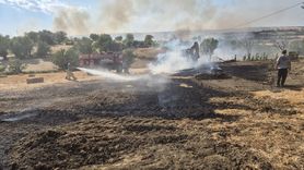 Tekirdağ'da Yangın Alarmı: 60 Dekar Alan Yandı