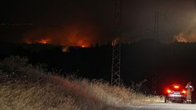 Tekirdağ'daki Orman Yangını Çanakkale'ye Ulaştı