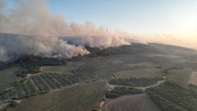 Tekirdağ'daki Orman Yangını Geniş Alanlara Yayılıyor