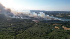 Tekirdağ'daki Orman Yangınına Hava ve Karadan Müdahale Devam Ediyor