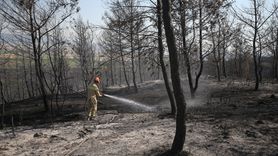 Tekirdağ'dan Çanakkale'ye Yangın Sıçraması: Dron ile Görüntüleme Yapıldı