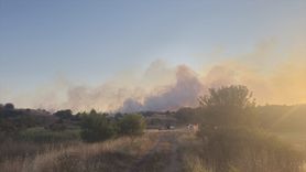 Tekirdağ'ın Saray İlçesinde Yangın: 20 Dekar Ağaçlık Alan Yandı