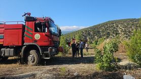 Tokat'ta Orman Yangını Kontrol Altına Alındı