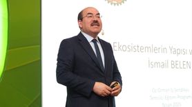 Türkiye'nin Orman Varlığı Yükseliyor: 2024 Hedefleri ve Yangınlar Üzerine Değerlendirmeler