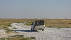 Tuz Gölü'nde Yaralı Eşek Tedavi Altına Alındı