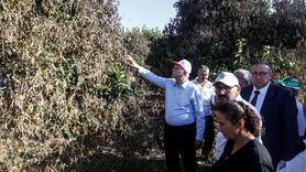 TZOB Genel Başkanı Şemsi Bayraktar Adana ve Mersin'de Tarım Alanlarını İnceledi