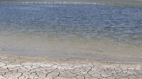 Ulaş Gölü'nde Flamingo Ziyareti