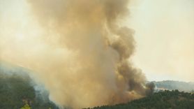 Uşak'ta Orman Yangınına Müdahale Devam Ediyor