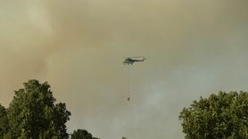 Uşak'ta Yangın: Tarım Arazisinden Ormana Sıçradı