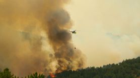 Uşak'taki Orman Yangını Kontrol Altına Alındı