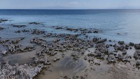 Van Gölü'nde Mikrobiyalit Keşfi
