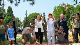 Yalova'da 300 Keklik Doğaya Salındı