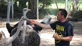 Yozgat'ta Kafe Sahibi Hayvanlara Merhametle Yaklaşıyor