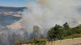 Zonguldak'ta Çalılık Yangını Kontrol Altına Alındı