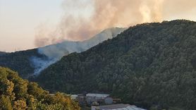 Zonguldak'ta Orman Yangını Kontrol Altına Alındı