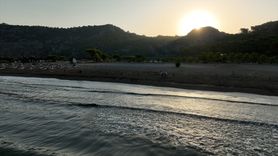 40 Bin 285 Yavru Kaplumbağa Denizle Buluştu