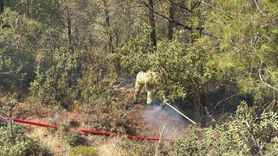 Adana'da Orman Yangını Kontrol Altına Alındı