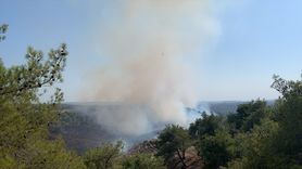 Adana’nın Sarıçam İlçesinde Orman Yangını