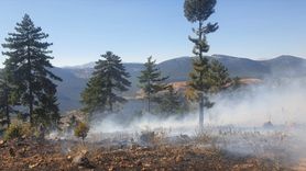 Adana Saimbeyli'de Orman Yangını Kontrol Altına Alındı