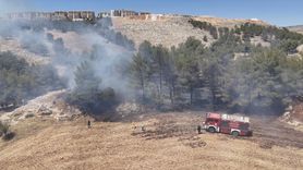 Adıyaman'daki Orman Yangını Kontrol Altına Alındı