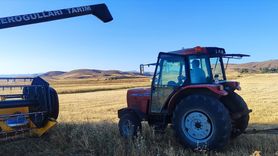 Ağrı'da Çörek Otu Hasadı Başarıyla Tamamlandı