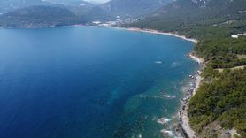 Akdeniz Isınması ve Ekosistem Değişimi