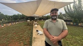 Antalya'da Poşetli Keçi Güldürdü