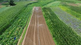 Arıtılmış Atık Su Sakaryalı Çiftçiler İçin Hayat Kaynağı